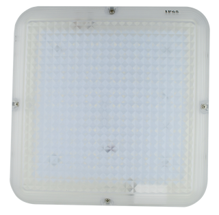 Tradelike OPTICUM IP65 - IK10 LED Bulkhead Light